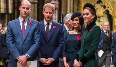 Prince Harry, Meghan 'just don't fit' into Prince William's monarchy
