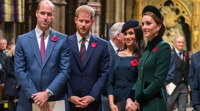 Prince Harry, Meghan 'just don't fit' into Prince William's monarchy