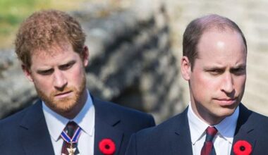 Prince Harry urged to ditch 'Califronia-speak' to become like Prince William