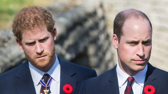Prince Harry urged to ditch 'Califronia-speak' to become like Prince William