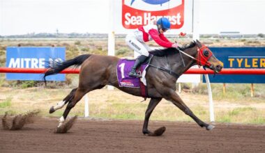 Lacevinsky turns back the clock to claim Carnarvon Horse of the Year