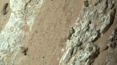 Life on Mars: NASA rover discovers strongest sign of life on Mars to date; all you need to know