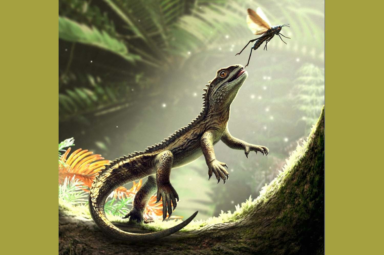 Lizard reconstruction scene