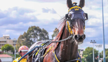 The best is yet to come