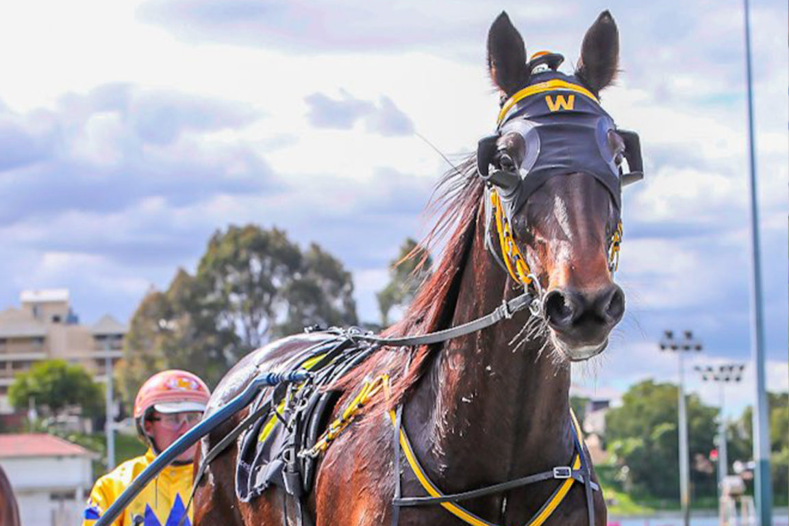 The best is yet to come