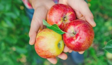 What Happened to My Body When I Ate an Apple Every Day