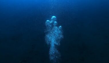 marine depths