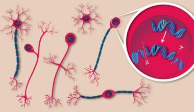 Brighter Side of News