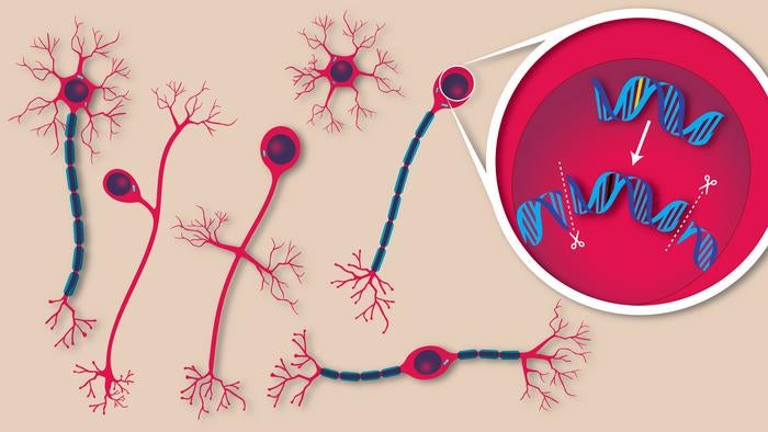 Brighter Side of News