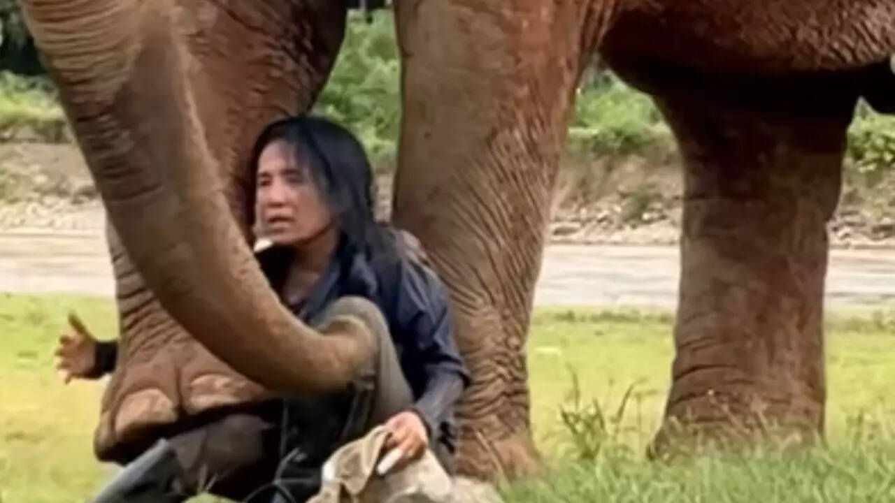 Moment between a caretaker and the elephant