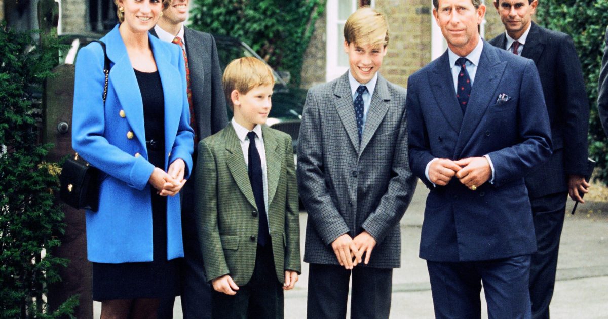 Prince Harry Reveals He Regrets Final Chat With Princess Diana | Gallery