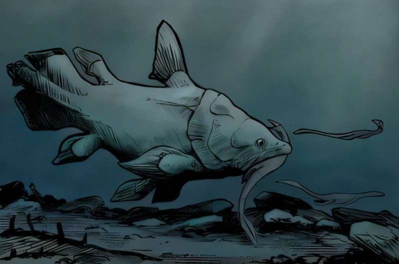 Multiple new species of 'living fossil' fish found hiding in plain sight after more than 150 years