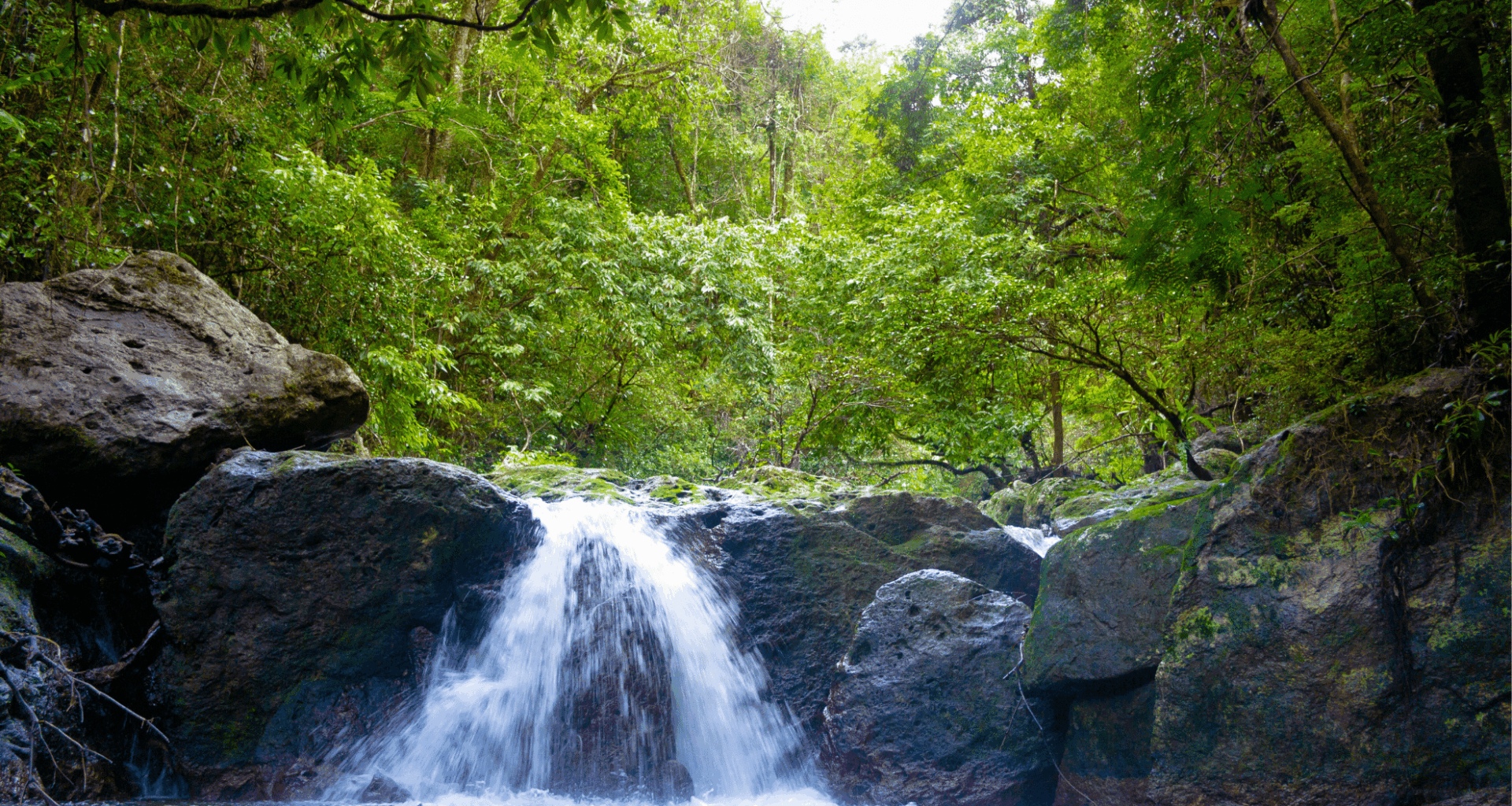 Mysterious Giant Creature Spotted In Madagascar Streams For The First Time