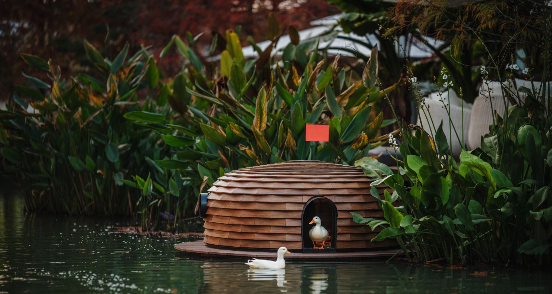 Floating pinecone-shaped huts provide shelter for ducks