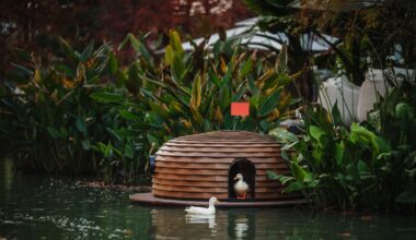 Floating pinecone-shaped huts provide shelter for ducks