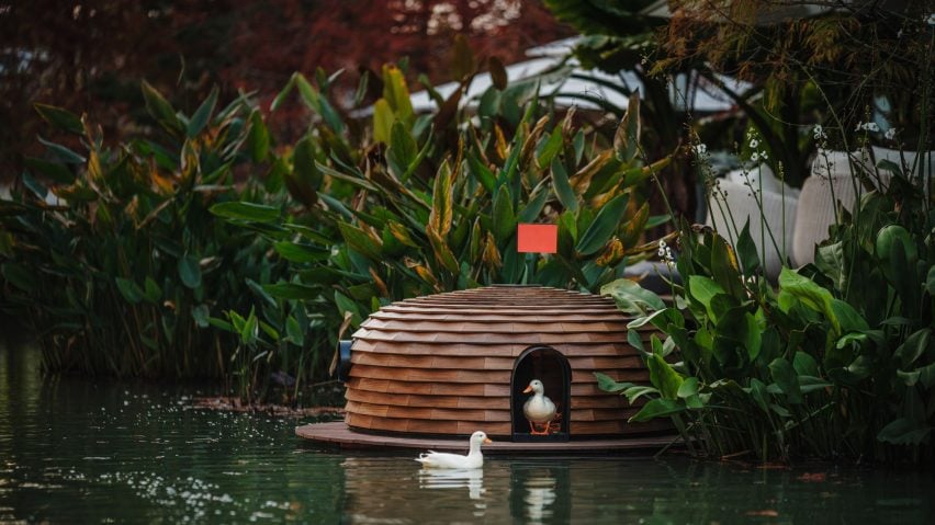 Two ducks using floating wooden shelter
