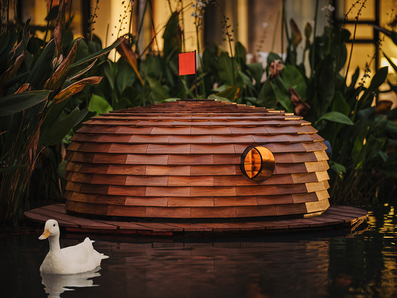 four floating wooden huts shape cheng tsung feng's duck nest installations