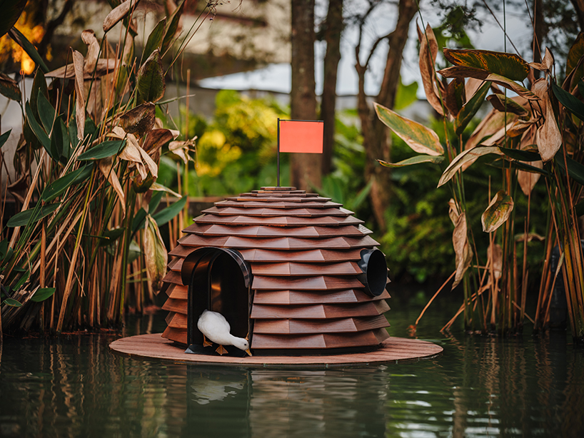 four floating wooden huts shape cheng tsung feng's duck nest installations