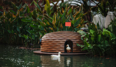 four floating wooden huts shape cheng tsung feng's duck nest installations