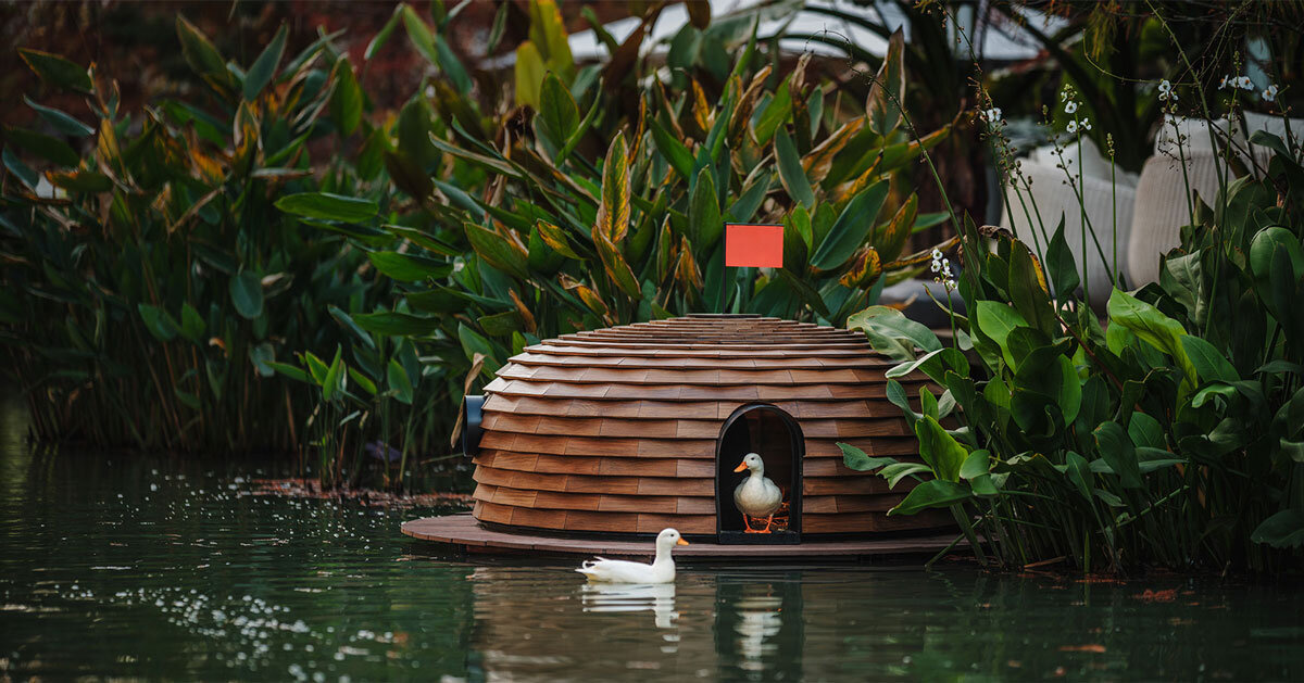 four floating wooden huts shape cheng tsung feng's duck nest installations