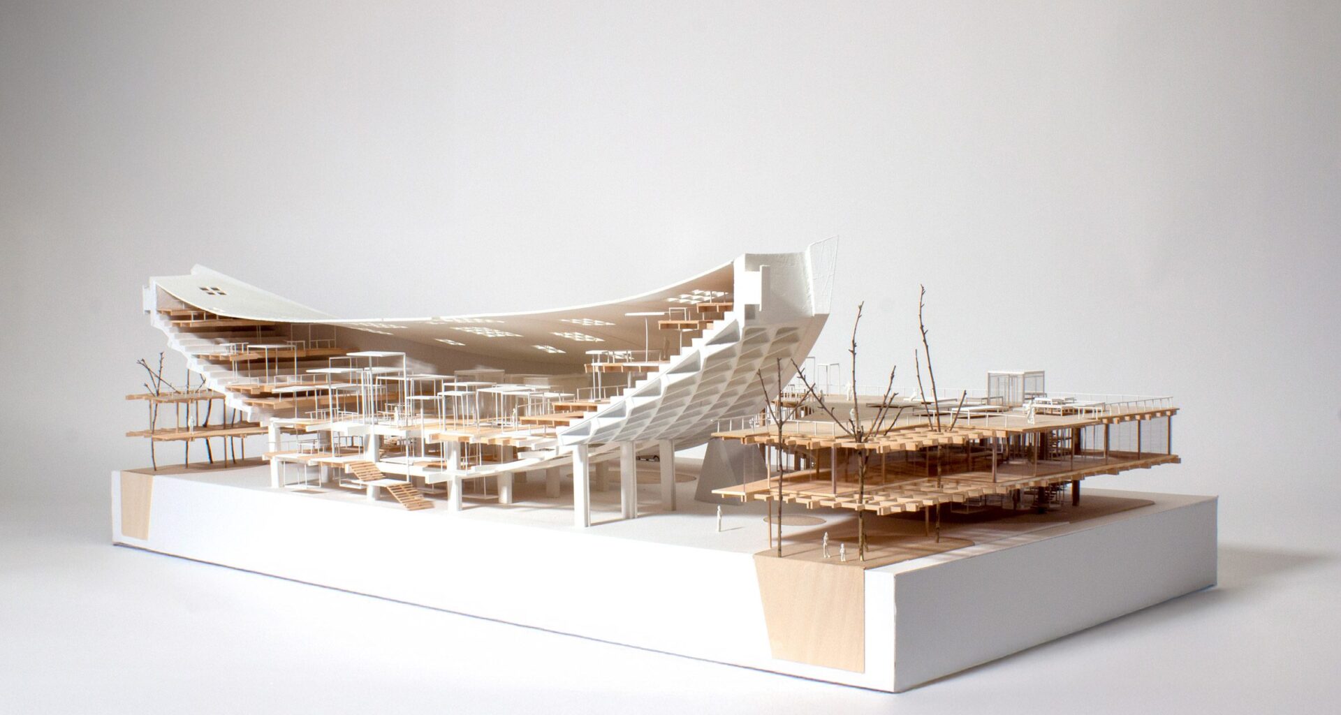 Proposal to revive post-war gymnasium wins Radical Renewal Competition