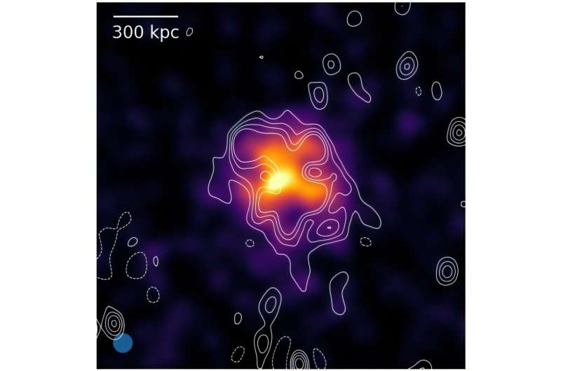 New radio halo discovered with MeerKAT