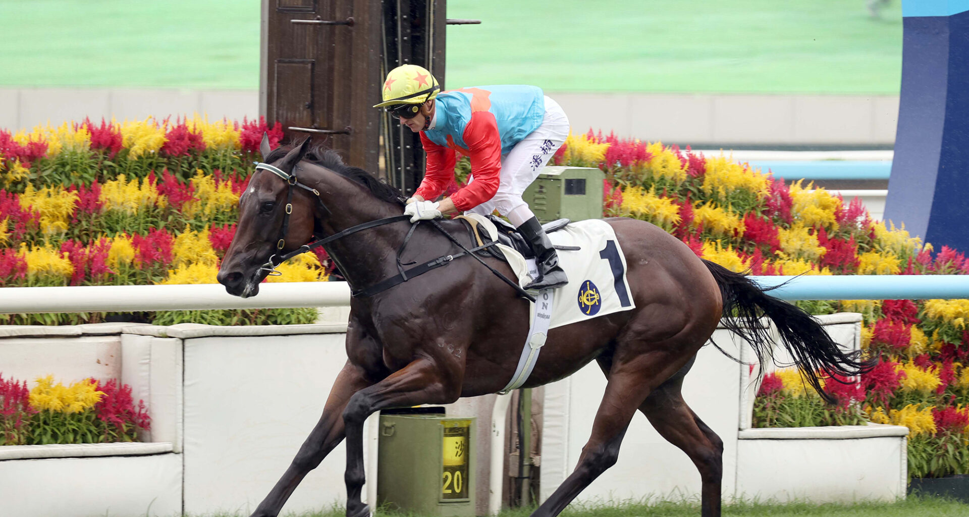 Ka Ying Rising romps to 13th straight win as Zac Purton slots five-timer
