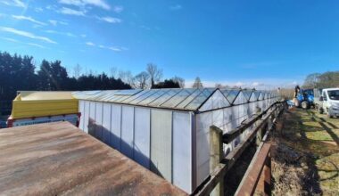 Council makes vital decision over Sheffield Graves Park Norton Nurseries | News