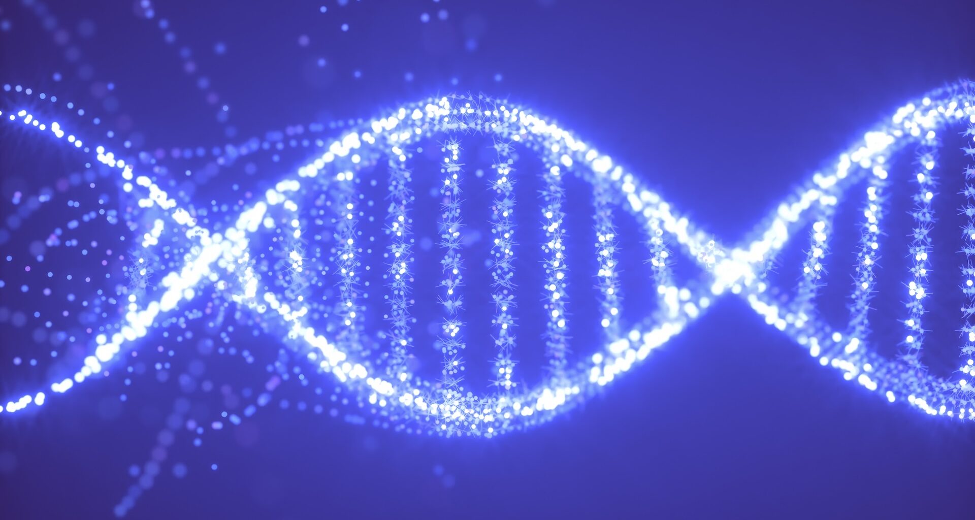 An illustration of DNA