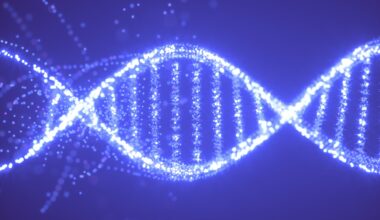 An illustration of DNA