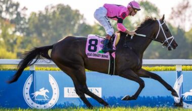 Buy or Sell on Road to Breeders’ Cup: Kentucky Turf Cup Winner Ole Crazy Bone