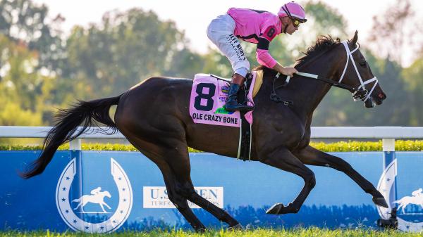Buy or Sell on Road to Breeders’ Cup: Kentucky Turf Cup Winner Ole Crazy Bone