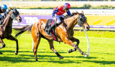 Pearce brothers target Carnarvon Cup