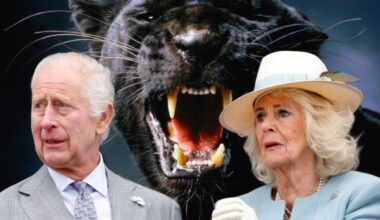 panther-reportedly-spotted-around-king-charles-and-queen-camillas-estate