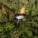 PEBL Cabins / Hello Wood - Image 2 of 24