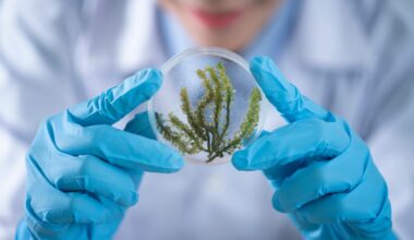 Beyond Silicon: Scientists Build Living Computers from Engineered Bacteria