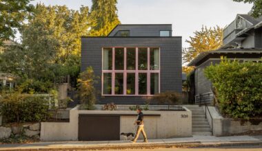 Seattle black house with pink mullions