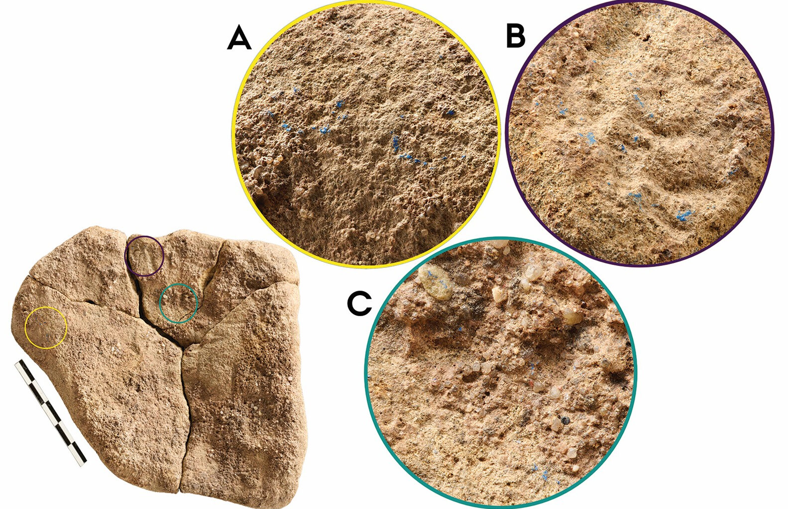 Blue pigment found in Germany rewrites Palaeolithic history