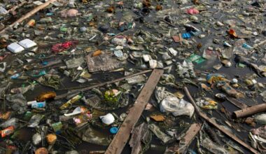 China offers unlikely glimmer of hope in fight against plastic pollution – POLITICO