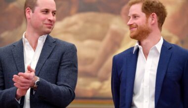 Prince William's Reaction to Harry's Reconciliation With King Charles