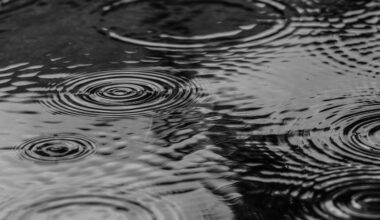 Met Office warns heavy rain may cause flooding in South Wales | News