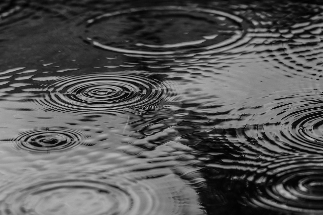 Met Office warns heavy rain may cause flooding in South Wales | News