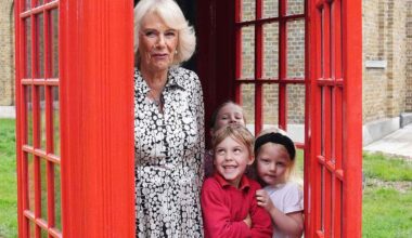 Queen Camilla Crashes the Ultimate British Tourist Photo-Op