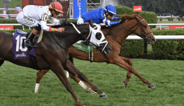 Godolphin sends out talented pair in G2 Miss Grillo