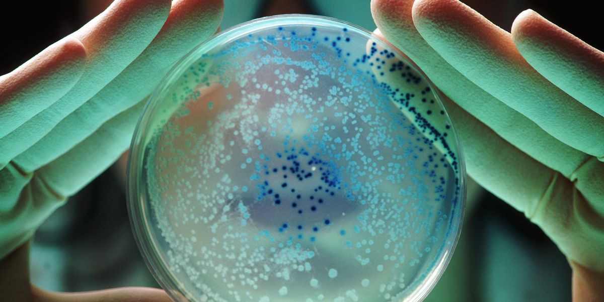 Scientists Built a New Lifeform With Just 57 Genetic Instructions