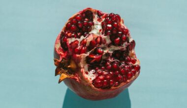Pomegranate Nutrition Facts - Health Benefits And Cooking Tips