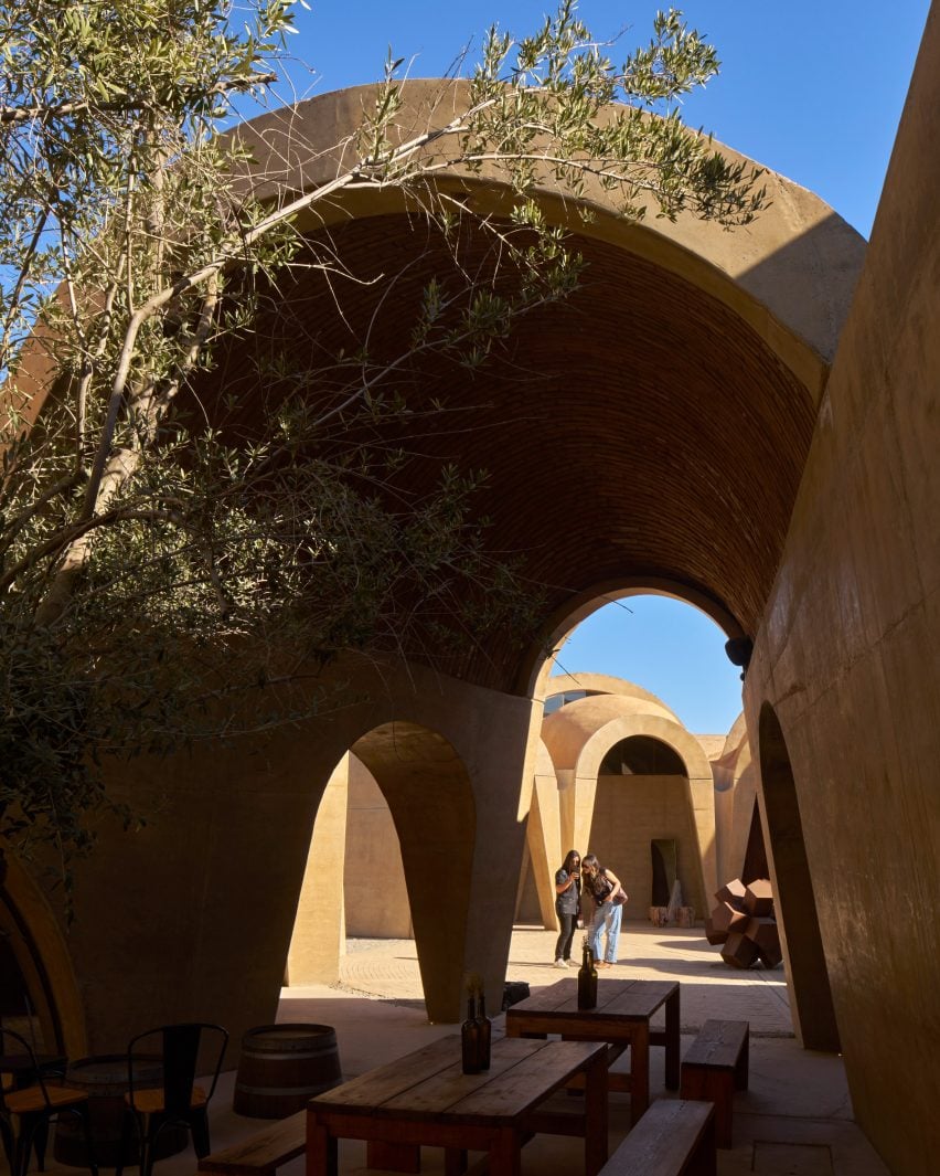 Vaulted winery in Mexico