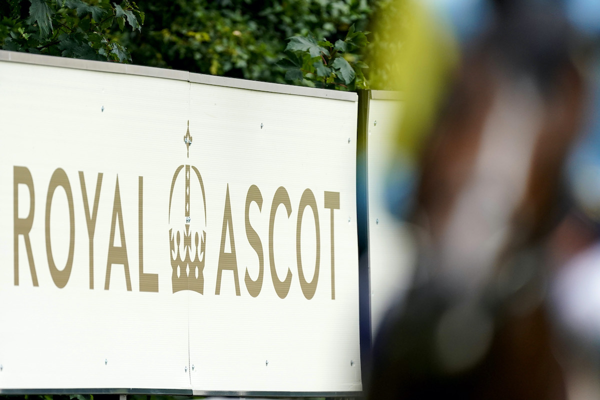Royal Ascot: ‘No ambition to get bigger and bigger,’ says Felicity Barnard. Photo: Alan Crowhurst / Getty Images (pool) Photo: Alan Crowhurst / Getty Images (pool)