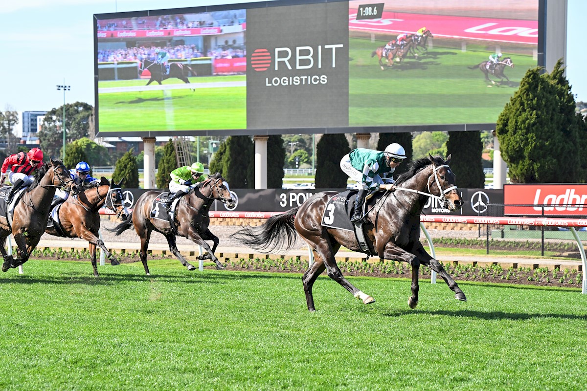 Yulong colts headline huge day for Darley’s Harry Angel