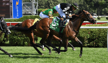 Sacred Goddess ready for $150K Joseph A. Gimma